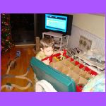 Looking at Ornaments.jpg